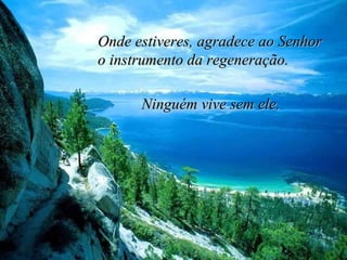 Onde estiveres, agradece ao Senhor  o instrumento da regeneração. Ninguém vive sem ele. 