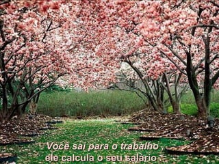 Você sai para o trabalho , ele calcula o seu salário .   