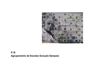 P. B.
Agrupamento de Escolas Gonçalo Sampaio
 