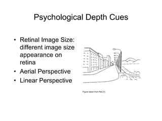 Psychological Depth Cues

• Retinal Image Size:
  different image size
  appearance on
  retina
• Aerial Perspective
• Linear Perspective
                         Figure taken from Ref.[1]
 