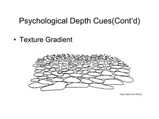Psychological Depth Cues(Cont’d)

• Texture Gradient




                           Figure taken from Ref.[1]
 