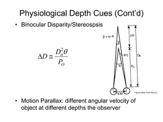 Physiological Depth Cues (Cont’d)
• Binocular Disparity/Stereospsis



              Dαθ
                2
         ∆D ≅
               PO



                                               Figure taken from Ref.[1]



• Motion Parallax: different angular velocity of
  object at different depths the observer
 