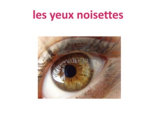 les yeux noisettes
 