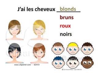 J’ai les cheveux ________blonds
bruns
roux
noirs
 