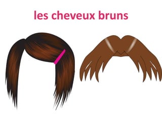les cheveux bruns
 