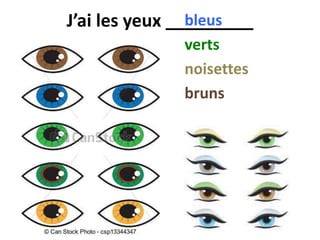 J’ai les yeux _________bleus
verts
noisettes
bruns
 