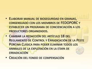• ELABORAR MANUAL DE BIOSEGURIDAD EN GRANJAS,
CONSENSUADO CON LOS MIEMBROS DE FEDOPORC Y
ESTABLECER UN PROGRAMA DE CONCIENCIACIÓN A LOS
PRODUCTORES ORGANIZADOS.

• CAMBIAR LA REDACCIÓN DEL ARTÍCULO 18 DEL
REGLAMENTO DE CONTROL Y ERRADICACIÓN DE LA PESTE
PORCINA CLÁSICA PARA PODER ELIMINAR TODOS LOS
ANIMALES DE LA EXPLOTACIÓN EN LA ETAPA DE
ERRADICACIÓN

• CREACIÓN DEL FONDO DE COMPENSACIÓN

 