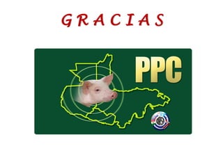 GRACIAS

 