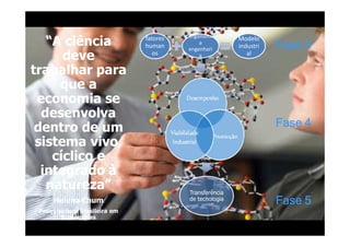 ergonomi
   “A ciência                 fatores
                              human
                                            a
                                        engenhari
                                                        Modelo
                                                        industri   Fase 3
      deve                       os         a              al

trabalhar para
     que a
 economia se
  desenvolva
 dentro de um                                                      Fase 4
 sistema vivo,
    cíclico e
  integrado à
   natureza”                            Transferência
     Helena Chum                        de tecnologia
                                                                   Fase 5
 Pesquisadora Brasileira em
        Bioenergias
 