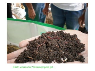 Earth worms for Vermicompost pit… 