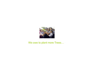 We owe to plant more Trees… 