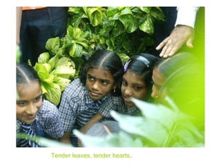 Tender leaves, tender hearts.. 