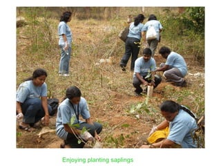 Enjoying planting saplings 