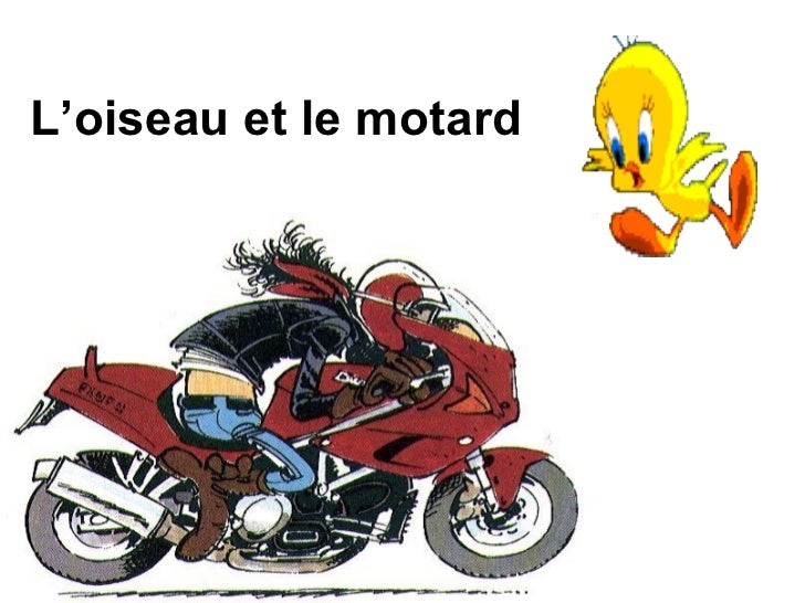Oiseau V S Moto