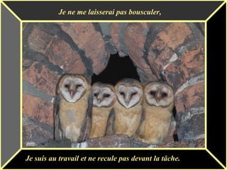 Je ne me laisserai pas bousculer, Je suis au travail et ne recule pas devant la tâche. 