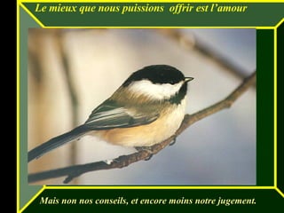 Le mieux que nous puissions  offrir est l’amour Mais non nos conseils, et encore moins notre jugement. 