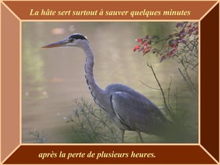 La hâte sert surtout à sauver quelques  minutes après la perte de plusieurs heures. 