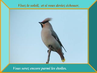 Visez le soleil,  et si vous deviez échouer , Vous serez encore parmi les étoiles. 