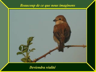 Beaucoup de ce que nous imaginons Deviendra réalité 