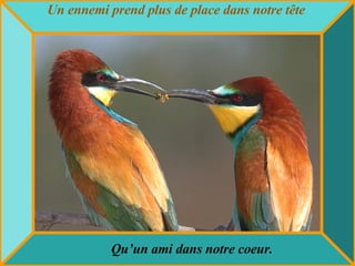 Un ennemi prend plus de place dans notre tête   Qu’un ami dans notre coeur. 