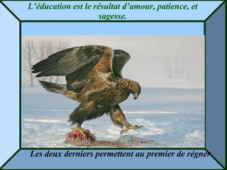 L’éducation est le résultat d’amour, patience, et sagesse. Les deux derniers permettent au premier de régner 