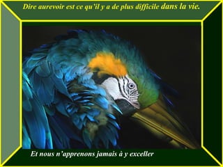 Dire aurevoir est ce qu’il y a de plus difficile  dans la vie. Et nous n’apprenons jamais à y exceller 