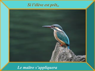 Si l’élève est prêt,, Le maître s’appliquera 
