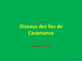Quelques
Oiseaux des îles de
Casamance
Janvier 2020
© COREAME
 