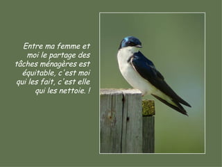 Entre ma femme et moi le partage des tâches ménagères est équitable, c'est moi qui les fait, c'est elle qui les nettoie. ! 