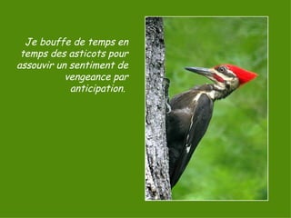 Je bouffe de temps en temps des asticots pour assouvir un sentiment de vengeance par anticipation.  