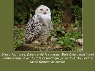 Dieu a tout créé. Dieu a créé le racisme. Mais Dieu a aussi créé l'antiracisme. Avec tout le respect que je lui dois, Dieu est un sacré fouteur de merde. 