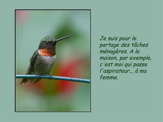 Je suis pour le partage des tâches ménagères. A la maison, par exemple, c'est moi qui passe l'aspirateur... à ma femme.  