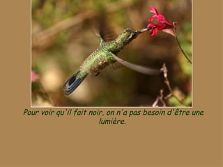 Pour voir qu'il fait noir, on n'a pas besoin d'être une lumière.  