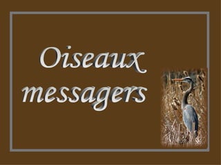 Oiseaux messagers  