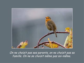 On ne choisit pas ses parents, on ne choisit pas sa famille. On ne se choisit même pas soi-même.  