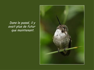 Dans le passé, il y avait plus de futur que maintenant.  