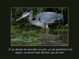 Si je devais me suicider un jour, je me pendrais à un noyer, ce serait mon dernier jeu de mot.  