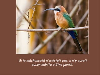 Si la méchanceté n'existait pas, il n'y aurait aucun mérite à être gentil.  