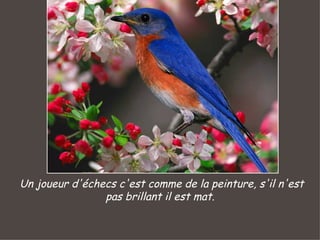 Un joueur d'échecs c'est comme de la peinture, s'il n'est pas brillant il est mat.  