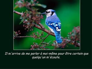 Il m'arrive de me parler à moi-même pour être certain que quelqu'un m'écoute.  