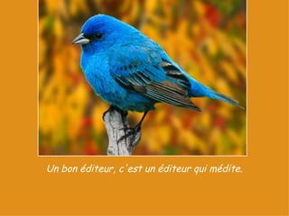 Un bon éditeur, c'est un éditeur qui médite.  