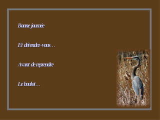 Bonne journée  Et détendez-vous… Avant de reprendre Le boulot… 