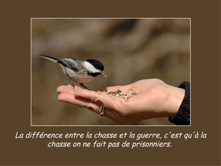 La différence entre la chasse et la guerre, c'est qu'à la chasse on ne fait pas de prisonniers.  