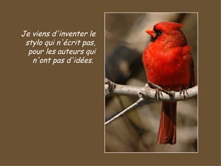 Je viens d'inventer le stylo qui n'écrit pas, pour les auteurs qui n'ont pas d'idées.  