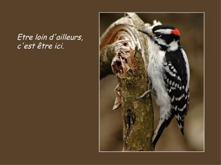 Etre loin d'ailleurs, c'est être ici.  