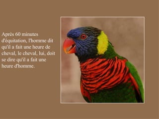 Après 60 minutes d'équitation, l'homme dit qu'il a fait une heure de cheval, le cheval, lui, doit se dire qu'il a fait une heure d'homme.  