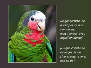 Ce qui compte, ce n'est pas ce que l'on donne, mais l'amour avec lequel on donne! (Lo que cuenta no es lo que se da, sino el amor con el que se da) 