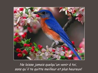 Ne laisse jamais quelqu'un venir à toi, sans qu'il te quitte meilleur et plus heureux! 