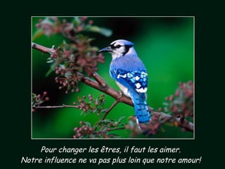 Pour changer les êtres, il faut les aimer. Notre influence ne va pas plus loin que notre amour! 