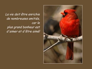La vie doit être enrichie de nombreuses amitiés, car le plus grand bonheur est d'aimer et d'être aimé! 